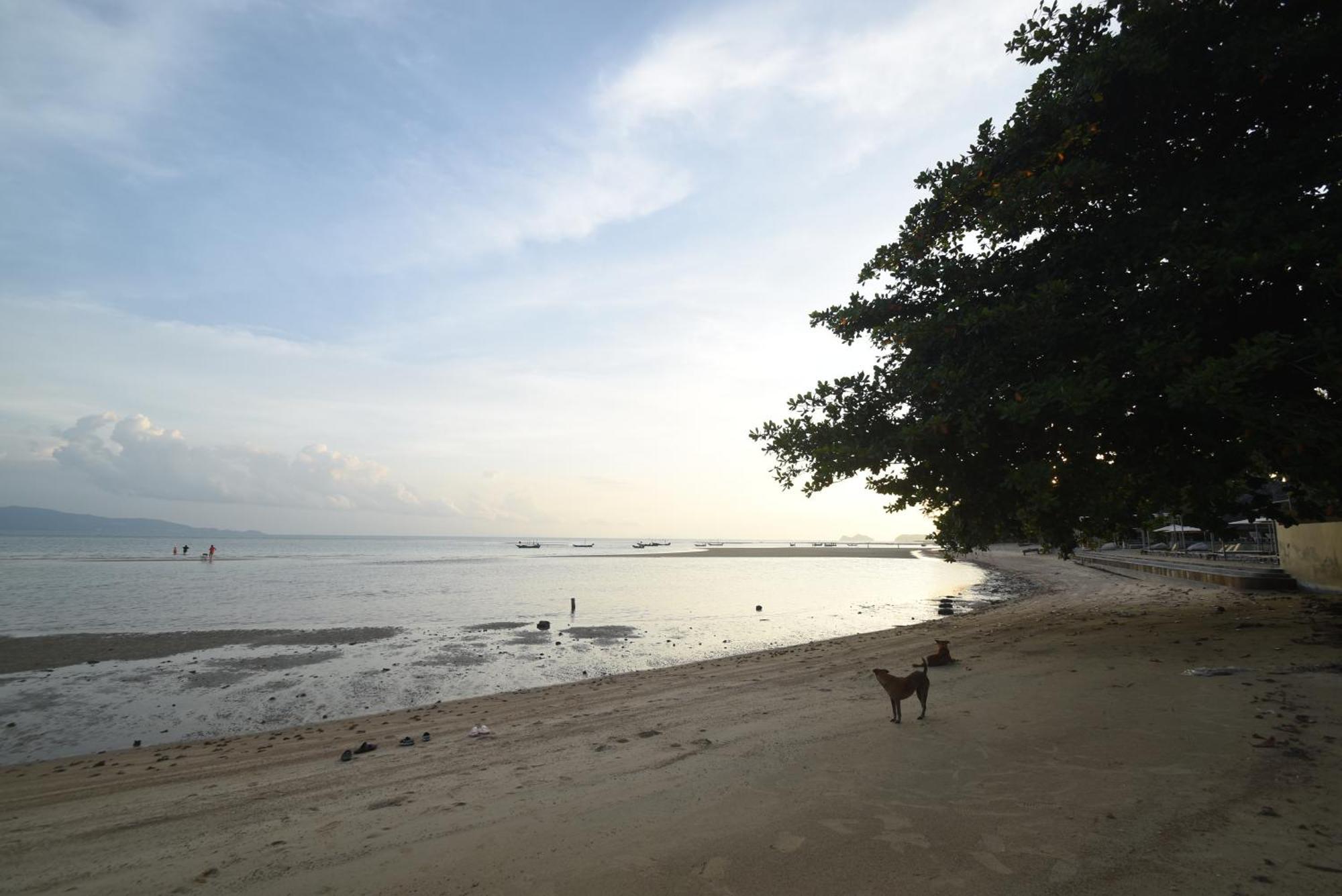 Blue Lotus Resort Baan Tai Buitenkant foto