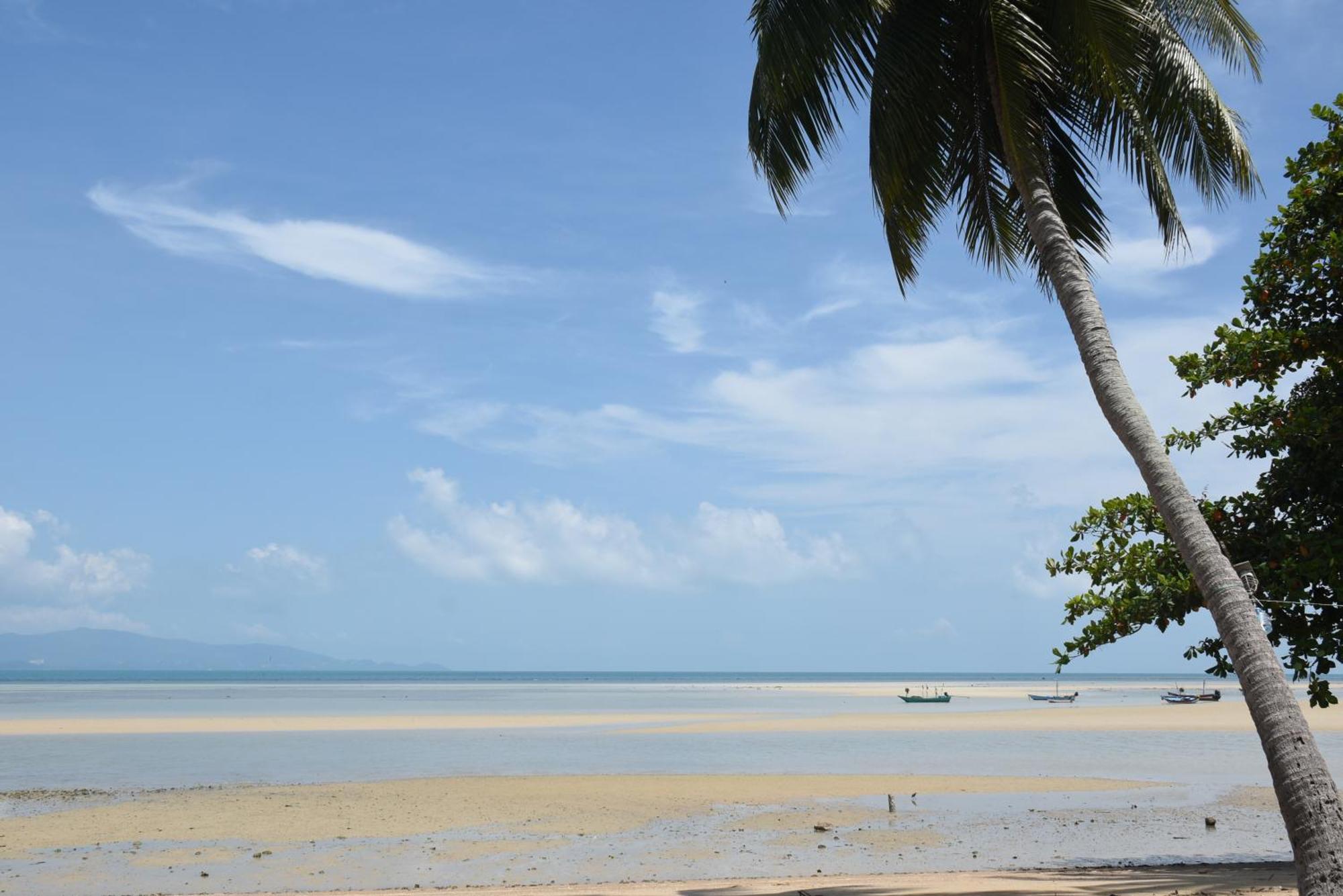 Blue Lotus Resort Baan Tai Buitenkant foto