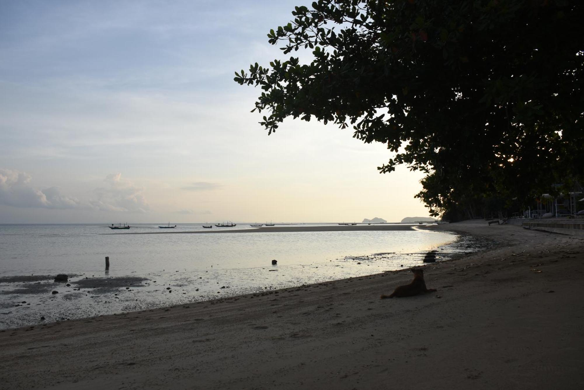 Blue Lotus Resort Baan Tai Buitenkant foto